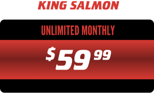 King Salmon